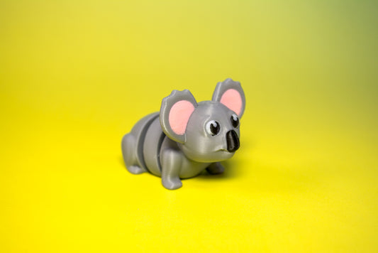 Oz: Koala