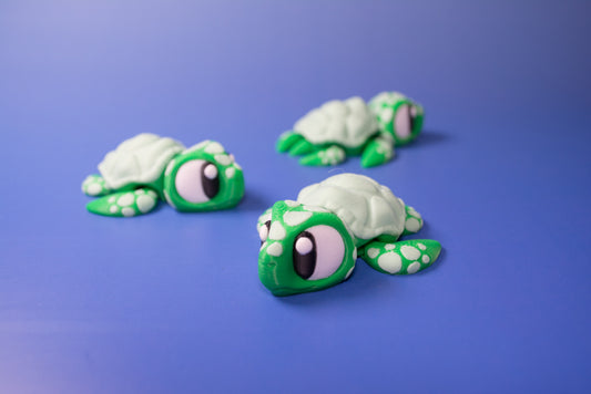 Seaz: Turtle