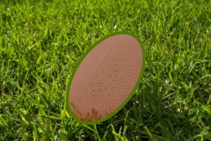 Brown Fidget Footy