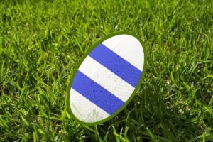 North Melbourne Kangaroos